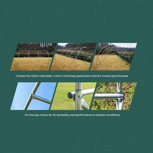 <span class=keywords><strong>Invernadero</strong></span> de Túnel Mini Económico, <span class=keywords><strong>Invernadero</strong></span> de Plástico de Bajo Costo en Venta - Product Image 5