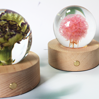 Vente en gros de résine de haute qualité + vraies fleurs sèches forme de boule de pissenlit lumière LED pour cadeau de boule de cristal