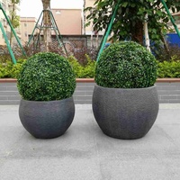 Jardinières noires minimalistes modernes avec topiaire circulaire verte pour la décoration intérieure