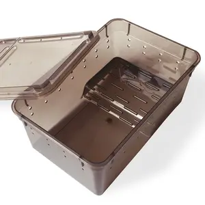 Caixa de alimentação para répteis, recipiente para incubadora de répteis, lagartixa e sapo