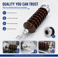 Bouchon de transformateur haute tension en porcelaine pour transformateur de puissance, isolateur électrique extérieur avec connexion à bride