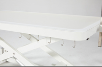 Table de toilettage électrique en acier inoxydable avec télécommande, éclairage, prise de table, interrupteur de protection contre les fuites, conception à crochet, facile à utiliser YM-D001LP