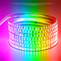 Bande LED flexible RGB étanche IP65 AC110V 220V 5050, 60 LED/m, 96 LED/m, 144 LED/m, rouleau de 100 m, télécommande, bande LED RGB