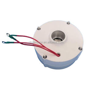 Generador de Imán de Potencia Personalizado de Baja Velocidad (500 RPM) con Certificación CE, 1kw 1.2kw, para Sistemas de Red a Pequeña Escala PJ-M2-1000/1200, PJ-S/M/L/ - Product Image 2