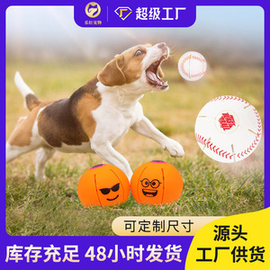 Linda Pelota Interactiva para Mascotas, Pelota de Plástico con Diseño de Dibujos Animados, Juguete para Perros para Entretenimiento y Diversión - Product Image 5