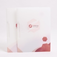 Carpeta de archivos con clip oscilante de tamaño A4 engrosado personalizado Nueva Fabricación de PP para productos de archivo de oficina y escuela