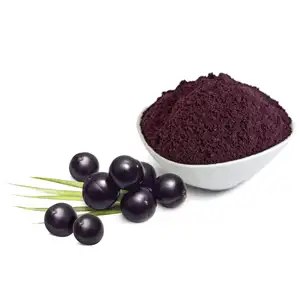 100% Acai Berry Concentrate Juice Powder Fruit Extract Powder EU Standard