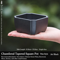 Maceta para Suculentas, Cuadrada, de Plástico, con Base Cónica, para Jardinería, Hogar, Ventana, Escritorio, Precio Especial, Liquidación, Envío Gratis