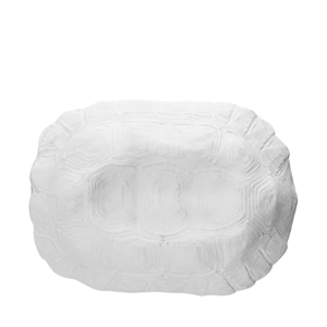 Bottiglia di Vino Biologico Tortuga Blanca 26x18cm 96cl - Product Image 1