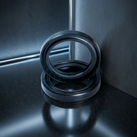 Ensemble de piston de pompe à boue standard DJ avec joint d'étanchéité, pièces de rechange pour équipement de forage
