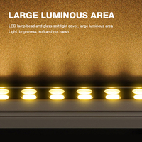 Lámpara LED de Pared para Exteriores, Impermeable IP66, RGB, Alto CRI 90, 36W/48W/72W, DMX512, con 3 Años de Garantía
