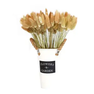 1 Bouquet de fleurs naturelles séchées, accessoires Photo rétro, vente en gros, queues de lapin, fleurs séchées, vente en gros
