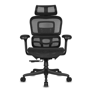 Silla de Oficina de Malla Premium con Soporte Lumbar Ergonómico - Product Image 3