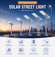Farola LED Solar Grande de 300W 200W 100W con Clasificación IP65, Grado Comercial, Impermeable, de Alta Potencia, Ahorro de Energía, Iluminación para Carreteras
