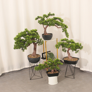 JWT3815 Pin bonsaï usine vente directe artificielle accueillant pin bonsaï fleur vert taille pot arbre décoration beauté plante - Product Image 6