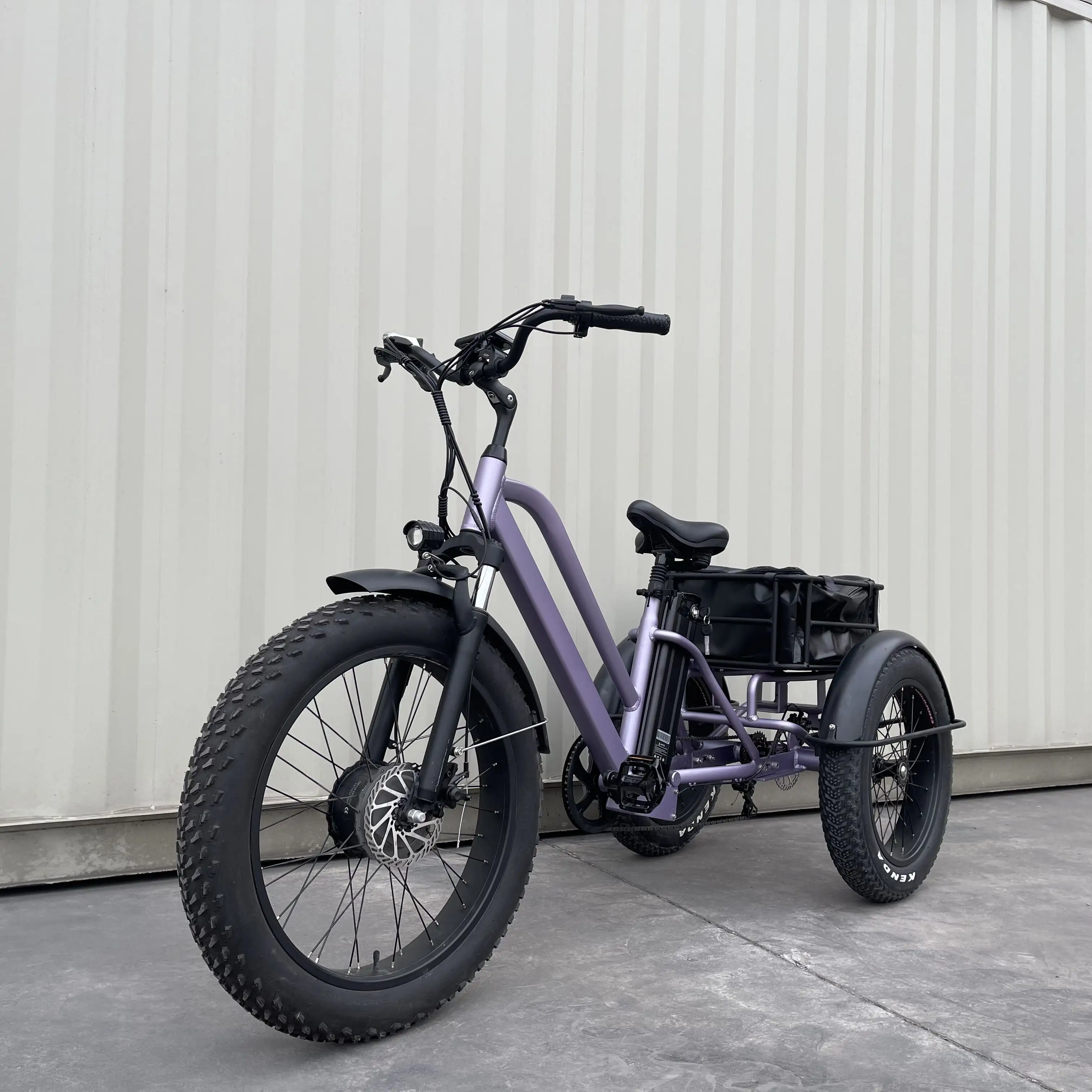 48V 750W 3 개의 바퀴 ebike 전기 세발자전거 3 바퀴 접히는 화물 trikes 성인을 위한 뚱뚱한 타이어 전기 자전거 3 바퀴