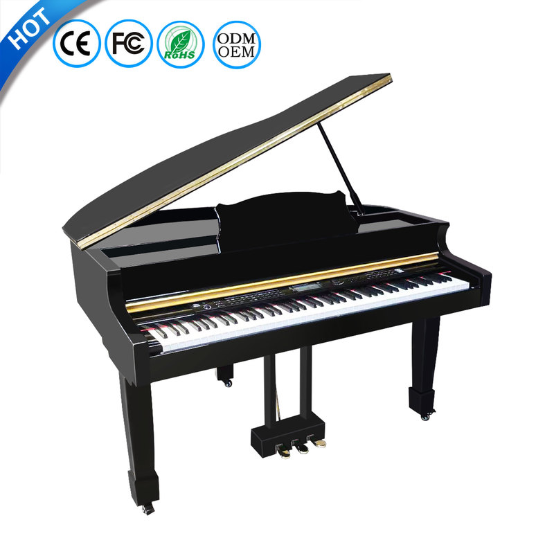 BLANTH Electric Piano Keyboard Electronic Piano