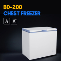 Offre Spéciale de 200L A + réfrigérateur commercial à porte ouverte unique congélateur coffre commercial pour crème glacée de supermarché
