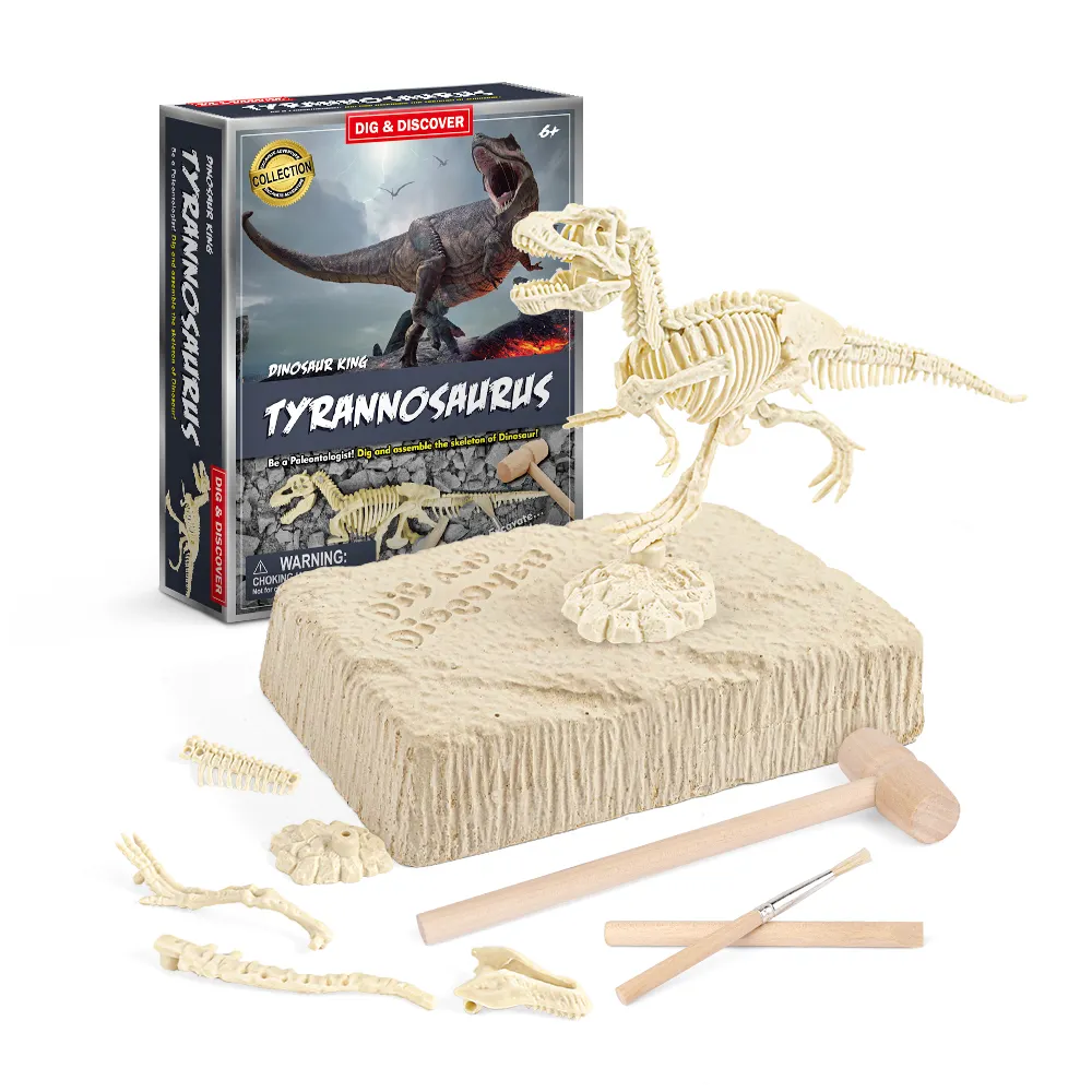 Groothandel Best Selling Kids Speelgoed Educatief Dinosaurus Fossielen Dino Eieren Opgraving Kit