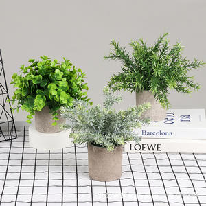 PT003-37 ขายร้อนFauxขนาดเล็กBonsaiชุดประดิษฐ์Frosting Watercressหญ้าพืชสีเขียว<span class=keywords><strong>ใน</strong></span>หม้อตกแต่ง<span class=keywords><strong>ใน</strong></span>ร่ม - Product Image 3