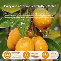 Mango en Sal de Bambú, Fruta Deshidratada, Venta al por Mayor, Sin Semillas, Deliciosa Fruta Preservada, Suave y Glutinosa, 100g