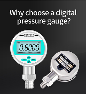 Medidores de presión de aceite de aire de agua y gas estándar OEM Medidor de presión hidráulica de combustible digital utilizado en pruebas de neumáticos o presión de hidrógeno - Product Image 5
