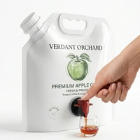 Pochettes Doypack personnalisées imprimées avec bec verseur et valve, 1,5L, 2L, 3L, 5L, pour l'emballage de cidre de pomme, vin, jus et autres boissons