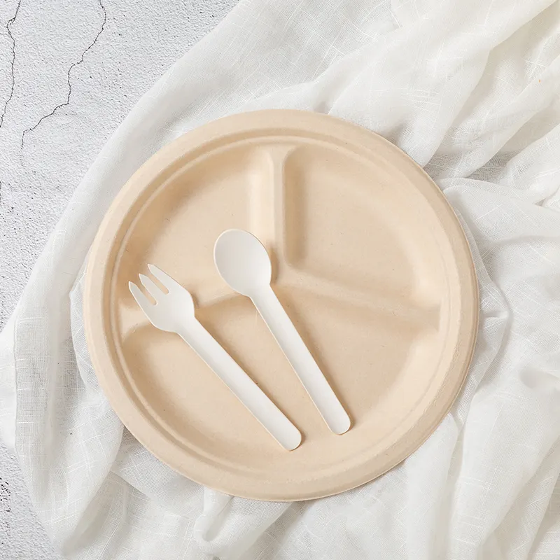 100% Biodegradable Bagasse Pulp Plates for Disposable Tableware