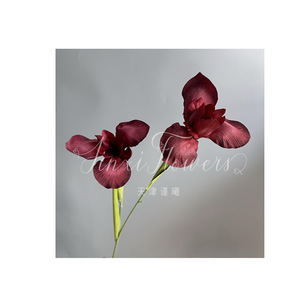 Fleurs d'iris artificielles Jinxi, en soie mélangée, imperméables, pour mariage et décoration intérieure, 2 têtes - Product Image 5