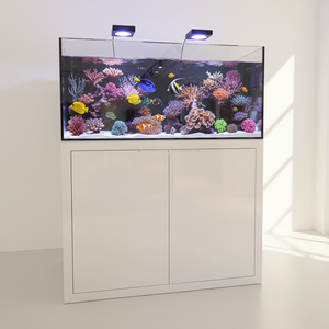 Maßgefertigtes Korallenriff-Fisch-Salzwasser-<span class=keywords><strong>Aquarium</strong></span> aus Eisenarmem Glas, Rotes-Meer-Fischbecken mit Überlauf und Stromversorgungsbox - Product Image 5