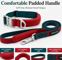 Ensemble collier et laisse pour chien en nylon avec boucle métallique à dégagement rapide, kit de promenade pour animaux de compagnie réglable avec logo personnalisé pour les aventures en plein air