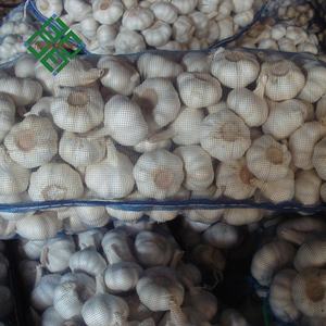 <span class=keywords><strong>Ajo</strong></span> blanco puro, <span class=keywords><strong>morado</strong></span> normal, rojo fresco de Garlic World-a precios de mercado mayorista - Product Image 3