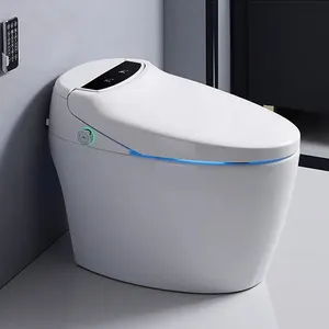 kaiping Sanitary Wares Automatic Bidet One Piece Toilet Modern Bathroom Ceramic Wc Intelligent Smart Toilet With Remote Control