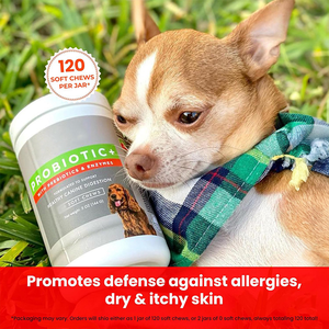 Probiotiques sous Marque Blanche en Bouchées Tendres pour Chiens et Chats – Stimule la Digestion, la <span class=keywords><strong>Flore</strong></span> <span class=keywords><strong>Intestinale</strong></span> et le Système Immunitaire pour les Soins Quotidiens des Animaux - Product Image 3