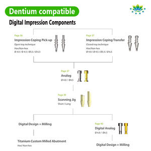Dentium Armatuur Lab Analoog Voor Tandheelkundige Implantaat Abutment Productie Oem Odm Custom Service Compatibel Met Koreaanse Europese Systeem - Product Image 3