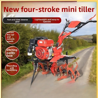 Motoculteur diesel compact pour usage agricole domestique, à deux roues motrices, guidé à la main, garantie 1 an, 55 kg
