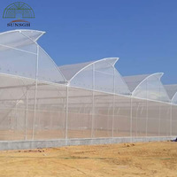 Serre à fenêtres en forme de dents de scie SUNSGH pour tomates