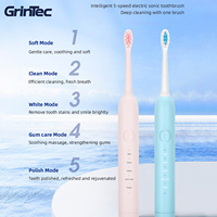 Brosse à Dents Électrique Sonique Étanche IPX8, Autonomie de 500 mAh pour 120 Jours d'Utilisation, Port de Charge Dissimulé GrinTec