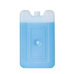 Custom Reusable Wholesale OEM Plastic HDPE Ice Pack Ice Block Freezer Block Box Ice Brick