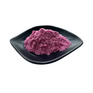 Prodotto biologico all'ingrosso sfuso concentrato di alta qualità succo di frutta Cranberry in polvere prezzo a buon mercato