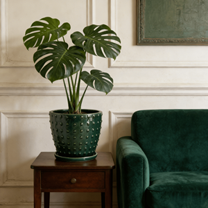 กระถางเซรามิกเคลือบสีเขียวป่า ลายจุดนูน พร้อมจานรอง สำหรับปลูกต้นไม้ในร่ม/กลางแจ้ง มีรูระบายน้ำ เป็นมิตรกับสิ่งแวดล้อม เหมาะสำหรับสวนและบ้าน - Product Image 1