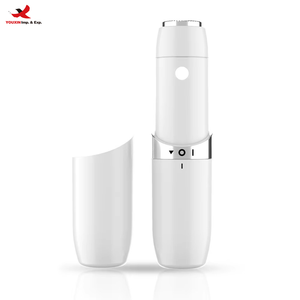 3 Days Portable Mini Electric Eyebrow Tailer Lipstick Shaving Instrument Household Facial Hair Removal GZ RTS Bulk Mixed Order - Product Image 1