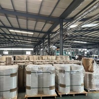 Lantai SPC Stone-Plastic 3mm Tekstur Batu Tiruan Tahan Api Anti Air/Anti Lembab Tahan Aus Anti Selip Sistem Klik