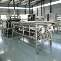 Automatische roltype sorteermachine voor het sorteren van aardappelen, uien, knoflook en fruit op maat, inclusief verwerkingslijn.