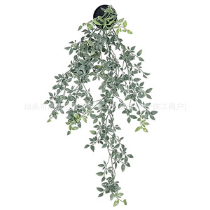 ต้นยูคาลิปตัสประดิษฐ์ขนาด 80 ซม. ของ Yu Kai สำหรับตกแต่งภายในอาคาร - Product Image 5