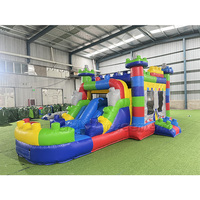 Château gonflable commercial avec toboggan et piscine