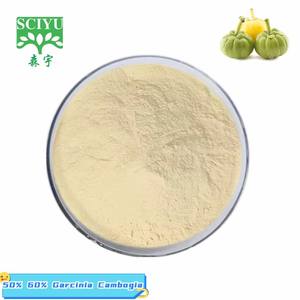 Garcinia Cambogia Kruidenextract Poeder 50% 60% HCA Power CAS 6205-14-7 - Product Image 2