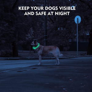 Pet Supplies LED Dog Pets Collars USB Rechargeable with Design Glowing Dog Collar Adjustable Flashing Collar Led for Dogs - Product Image 3
