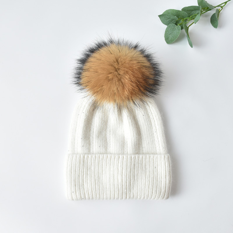 White+brown Pom