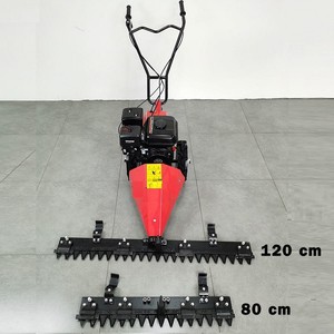 Falciatrice a Spinta per Pascoli 212cc Benzina Larghezza 80-120cm Altezza 1-8cm per Fattorie in Brasile e Argentina - Product Image 6